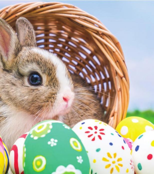 A BRIEF HISTORY OF The Easter Bunny