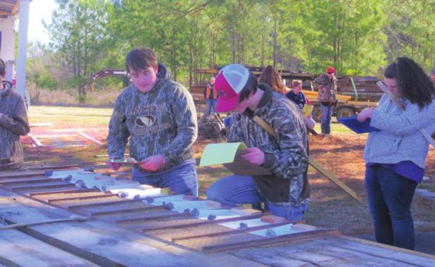 County Hosts Forestry Competition