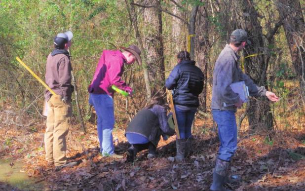 County Hosts Forestry Competition