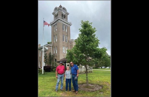 Bemis Tree Farm Donates White Oak