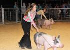 Calhoun County Livestock Fair Results