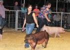 Calhoun County Livestock Fair Results